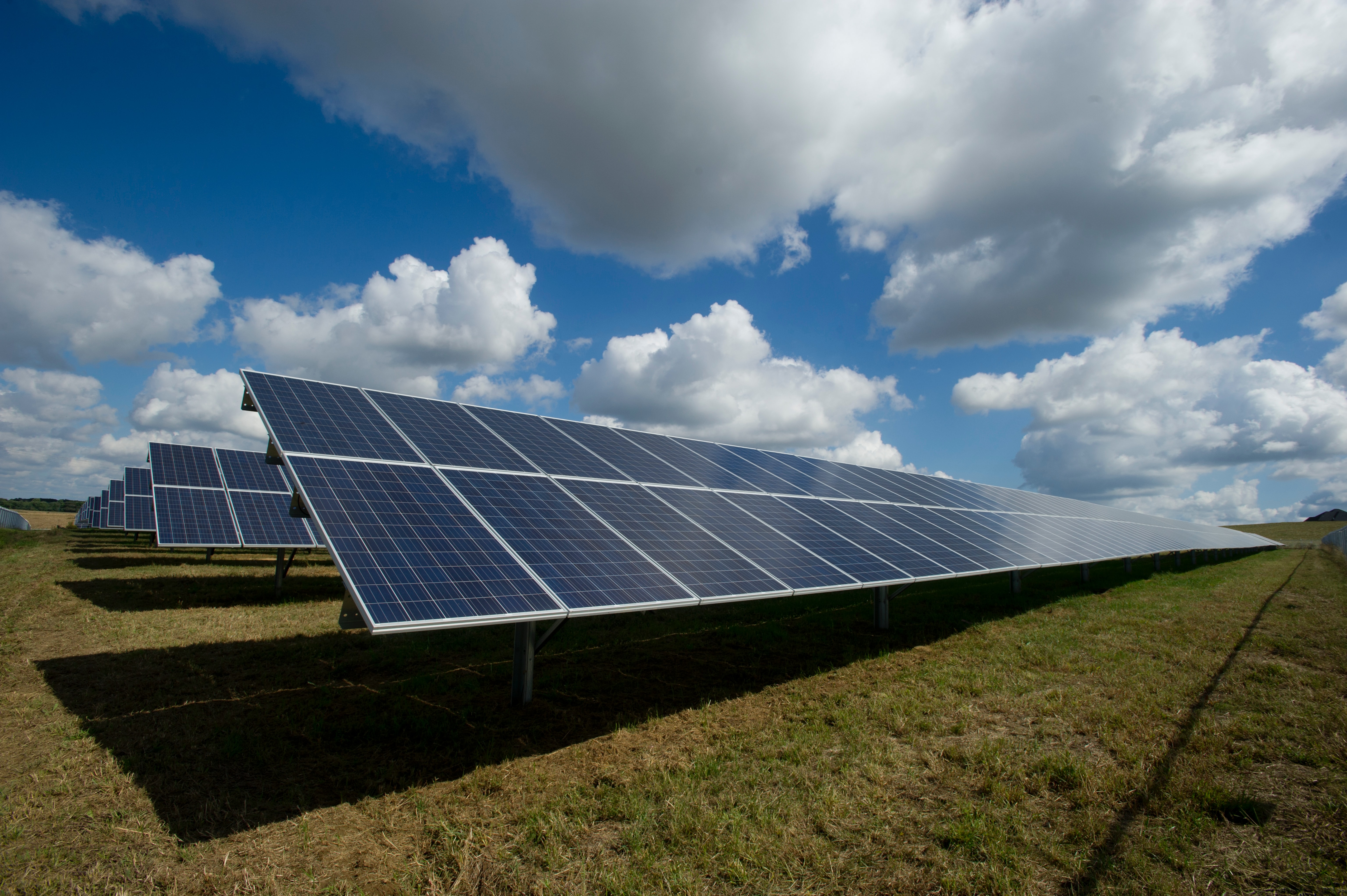 ERPALFrase helps SELCO decentralize its operations by connecting 60 Energy Centers - Cover Image