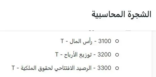 رأس المال فى شجرة الحسابات